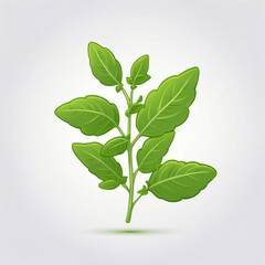 Wall Mural - fresh basil isolated on white background