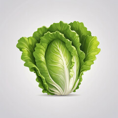 Wall Mural - cabbage icon, vector style, white isolated background,