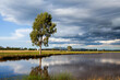 © Austockphoto - Gum tree alone beside dam on farm with incoming clouds darkening sky above water