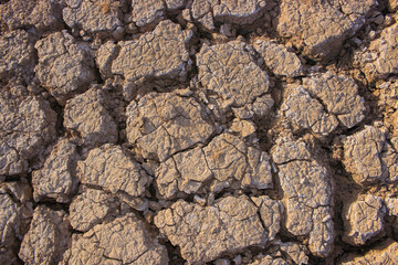 dry land texture background