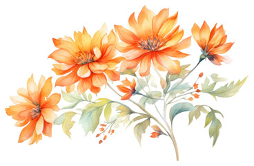 Wall Mural - PNG Pattern flower dahlia plant.