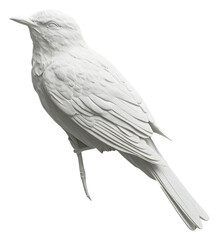 Canvas Print - PNG Bird white animal monochrome.