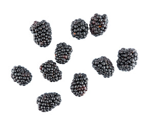 blackberries isolated on a transparent background, blackberry top view