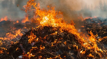 Canvas Print - Biomass fuels the flames of progress, recycling organic waste into energy sources that mitigate environmental impact and reduce reliance on finite resources.