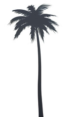 Canvas Print - PNG Palm tree moon outdoors nature.