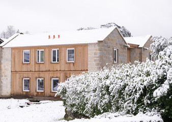 casa arvore neve 2