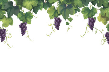 Sticker - PNG Vines grapes plant food