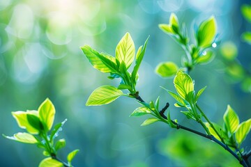 Poster - Fresh Spring Leaves: Tender green leaves unfurling under soft sunlight, symbolizing renewal and growth in spring.