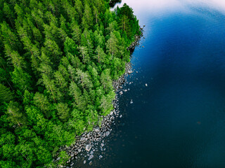 aerial view of blue lake with stone coast and green tree forests on a sunny summer day in finland.
