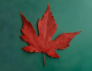 Wall Mural - red maple leaf, red maple leaves, red maple leaf on the ground