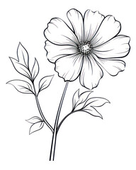 Sticker - PNG Flower drawing sketch plant