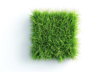 Wall Mural - Green grass square on white, ideal for plant lovers and nature enthusiasts