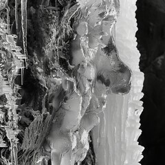 Wall Mural - A closeup of a frozen waterfall appearing as a cascading black and white sculpture. Black and white art