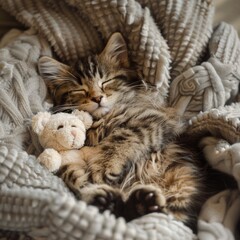 Wall Mural - A cat is sleeping with a teddy bear