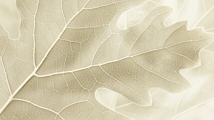 Poster - Serene Macro of Oak Leaf Details in Monochromatic Green for International Day of Forests
