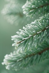 Fototapete - Delicate Monochromatic Macro of Pine Needle Veins Highlighting Organic Patterns in Light Green and White