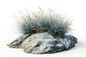 Poster - A small plant grows out of a crack in the rock, with green leaves and roots