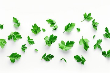 Sticker - A bunch of fresh green leaves placed on a white surface, ideal for use in still life photography or as a background image