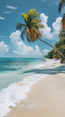 Wall Mural - A tropical beach with palm trees and white sand