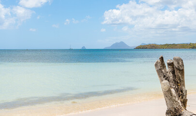 Wall Mural - Plage des boucaniers à la Pointe Marin à Sainte Anne, Martinique, Antilles Françaises.	