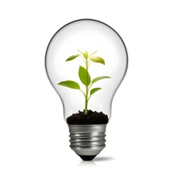 Wall Mural - a green plant sprout growing inside a glass light bulb, representing the concept of renewable energy