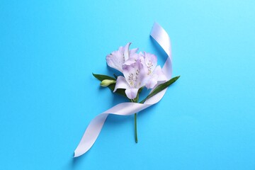 Wall Mural - Beautiful alstroemeria flowers and ribbon on light blue background, top view