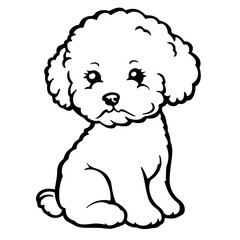 Wall Mural - Bichon Frise