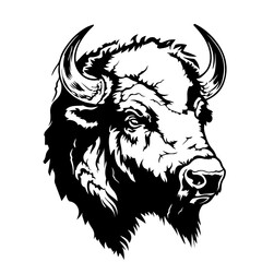 Wall Mural - American Buffalo