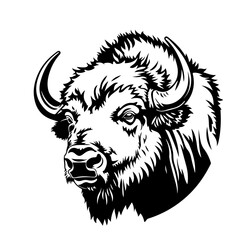 Wall Mural - American Buffalo