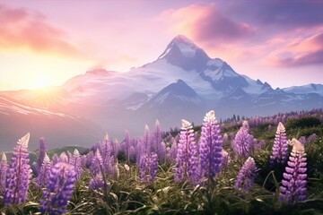 Wall Mural - Blooming meadow among mountains. High peaks and flowers. Beauty in nature.