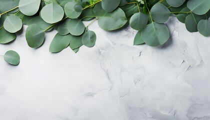 Wall Mural - green leaves on table