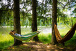 © bogdan vacarciuc - A man is lying in a hammock in a dreamy landscape, on the shore of the lake. Excursion in nature.