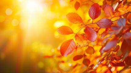 Poster - Autumn leaves in a vibrant landscape, with bright colors and warm sunshine