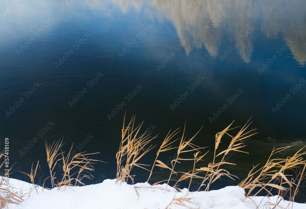 Stems of dry reeds protruding from a snowdrift against the backdrop of ...