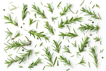 Sticker - Rosemary leaves fresh and dried on white background Top view