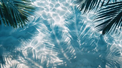 Poster - A tranquil scene of palm tree shadows dancing on the surface of clear blue water.