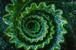 © Sandu - Spiral Green Plant Abstract