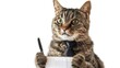 © Emin - Adorable cat in tie holding pen with blank list on white background