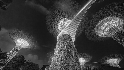 Poster - Singapore - September 13, 2023: Illuminated supertrees of Gardens by Bay nature park at night