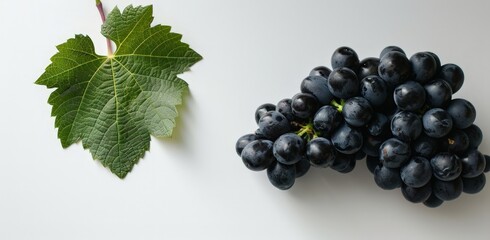 Wall Mural - Fresh Grapes and a Green Grape Leaf Against a White Background