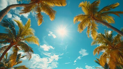 Spectacular palm trees framing bright sun against vibrant blue sky with fluffy white clouds creating tropical summer vacation mood, beach paradise vibe.