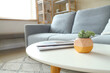 © Pixel-Shot - Plant with magazines on table in living room, closeup