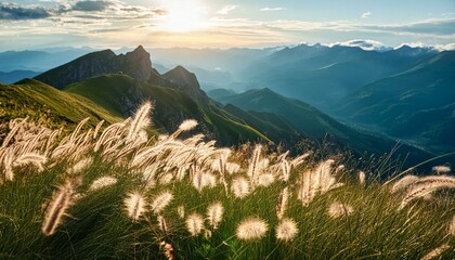 Wall Mural - beautiful grass flowers on the mountain