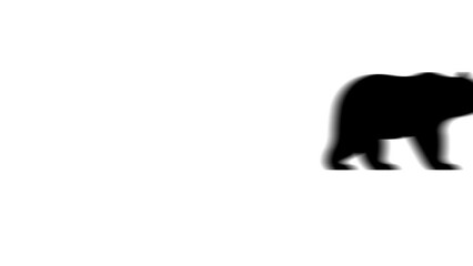 Poster - Animation set, bear symbol. Animations: transparency, zooms, transition top to down, transition left to right, slide up to down, slide left to right