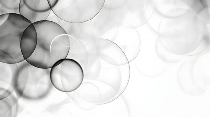Wall Mural - 1. Generate a modern geometric abstract background featuring circles, perfect for business or technology presentation design templates. Create a clean and dynamic white background image with a focus