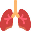 © Habib - lungs anatomy