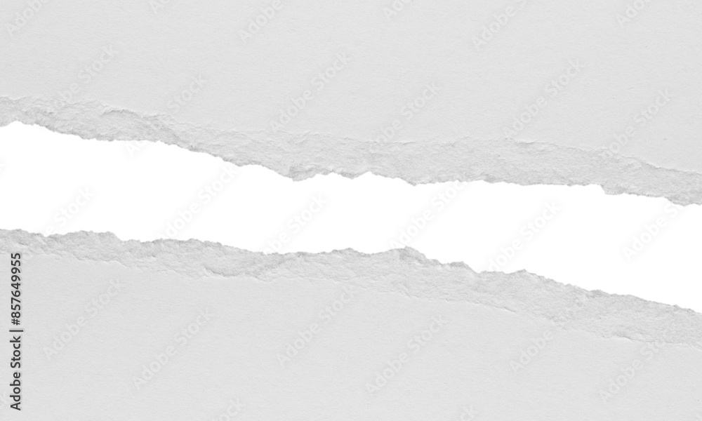 torn blank pages with uneven texture edges. set of ripped white paper ...