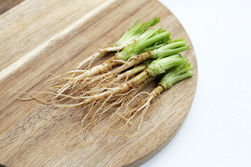 Poster - Fresh organic coriander, vegetables and herbs