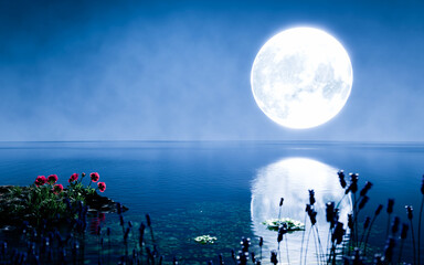 Wall Mural - Astronomical Phenomenon the golden yellow full moon is reflected in the sea. The shadow of the island in the ocean The sky has many stars. Ripples on the sea at night.3D Rendering