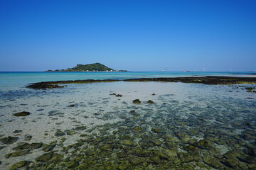 Wall Mural - clear shoaling beach and mossy rocks